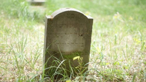Porządki na Cmentarzu żydowskim w Szlichtyngowej
