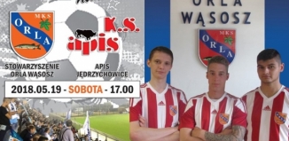 Mecz Stowarzyszenie Orla Wąsosz vs Apis Jędrzychowice