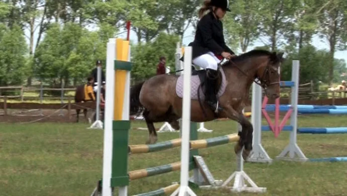 Zawody konne w SKJ „Tradycja” Siedlnica