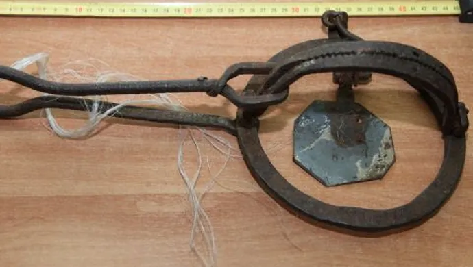 Zabezpieczyli urządzenia do kłusowania