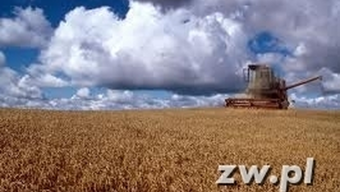 Dożynkowy weekend