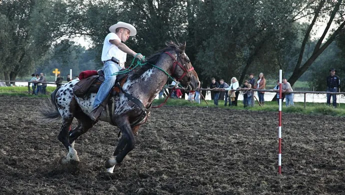 Sobota i niedziela w Wyszanowie
