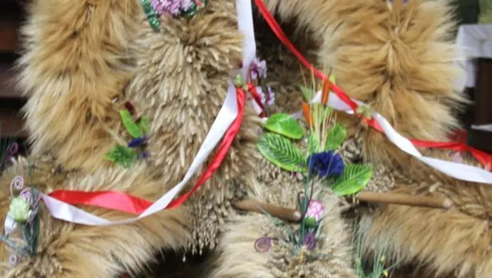 Wyróżnienie na Wojewódzkich Dożynkach