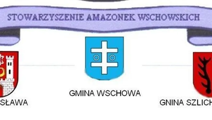 Stowarzyszenie Amazonek w SCKiW