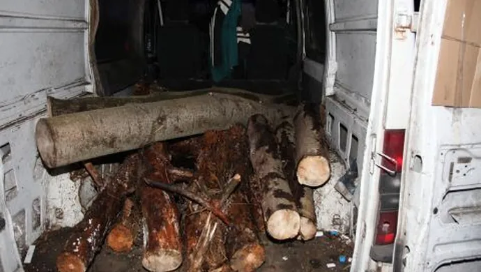 Złapani z ciężkim łupem