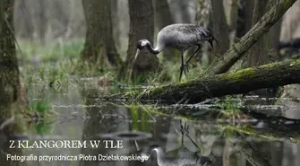 Wystawa fotografii przyrodniczej