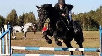 Siedlnica - Skoki przez przeszkody w ostatnią, majową sobotę