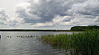W Radzyniu utonął 44 letni mężczyzna. Policja apeluje o ostrożność