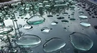 Wzrasta liczba przypadków zachorowań na WZW