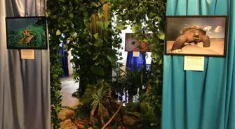 Fotografia Dzikiej Przyrody 2010 - 2011 w MZW