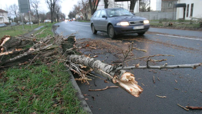 Mocno wiało w lubuskiem