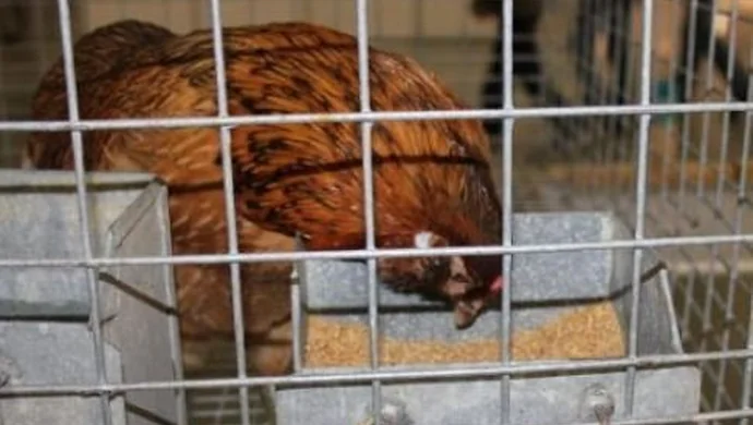 Chcieli sprzedać złom, trafili za kratki