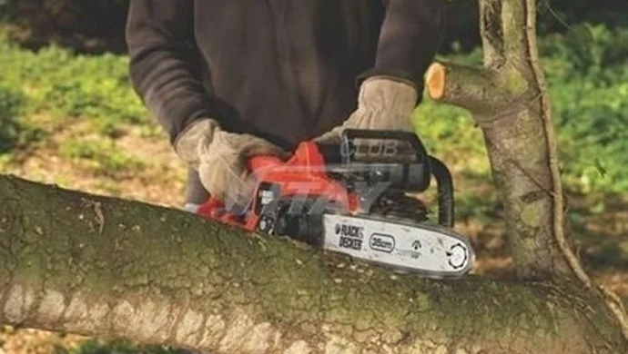 Szkolenie na operatora pilarek łańcuchowych w Starych Drzewcach