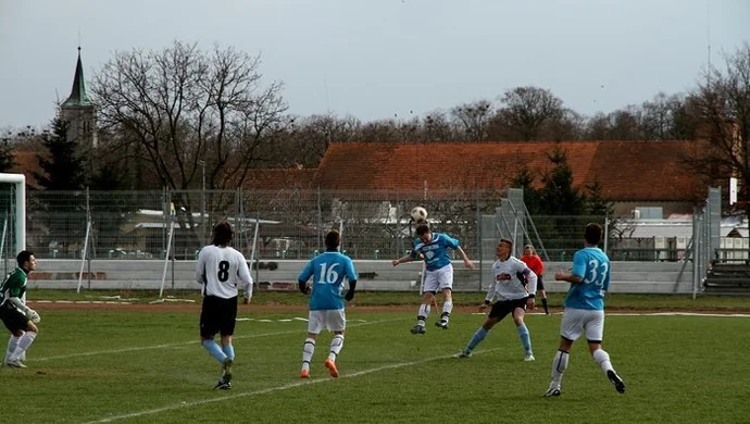 Dąb z punktem ze Strzelec Krajeńskich