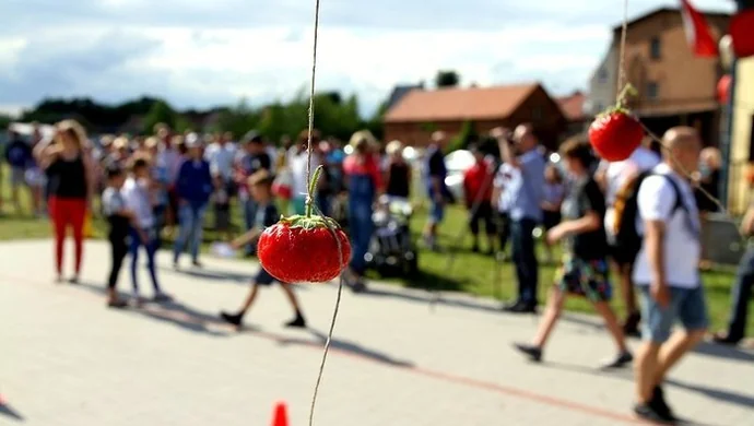 Dębowa Łęka truskawką stoi. Zobacz zdjęcia