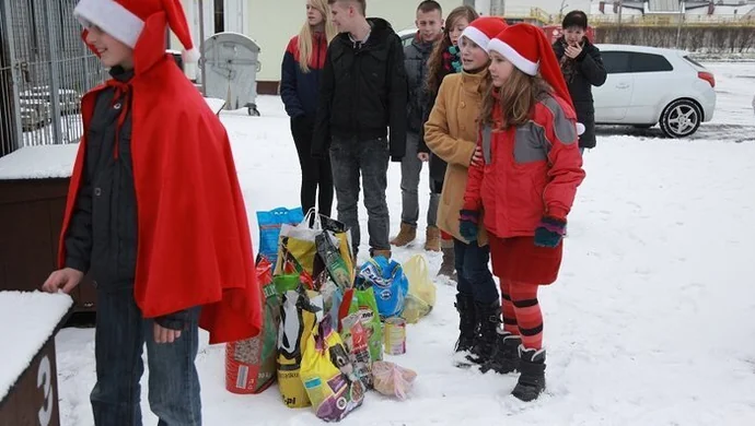 Święty Mikołaj odwiedził przytulisko dla psów