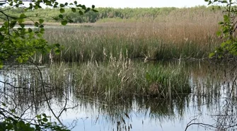 Przełom w sprawie tamy na jeziorze