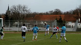 Dąb z punktem ze Strzelec Krajeńskich