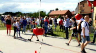 Dębowa Łęka truskawką stoi. Zobacz zdjęcia