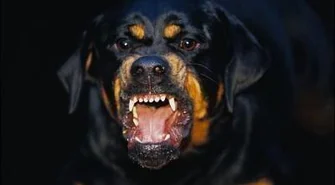 Czy to koniec szreniawskiej spirali strachu?