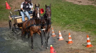 Zaprzęgi w galopie, czyli niedziela w Siedlnicy