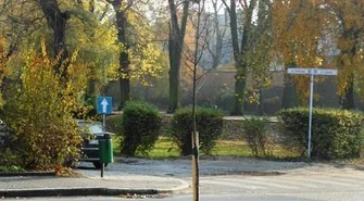 W ramach utrzymania zieleni nasadzą 150 drzew