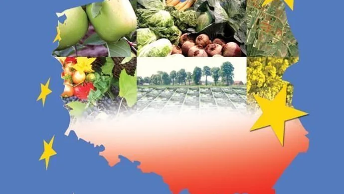 Zmiany w dopłatach bezpośrednich - powyżej 5 tys. euro redukcja dopłat o 10%