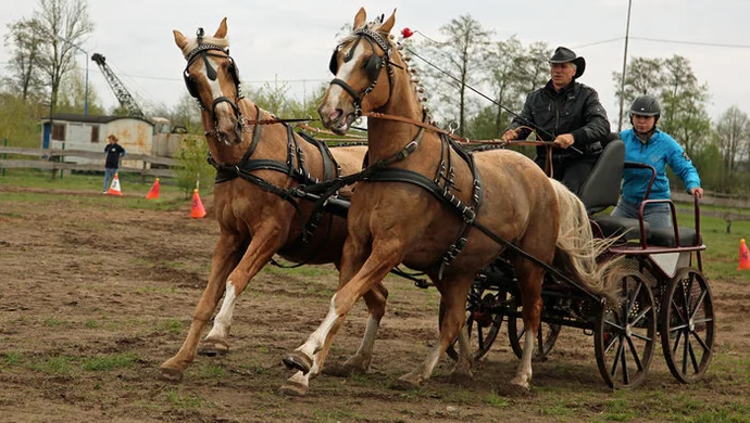 W Siedlnicy po raz trzeci zawody w zaprzęgach
