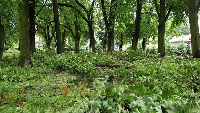 Porządki po burzy