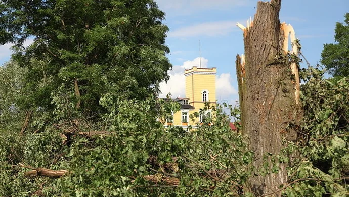 Nie ma parku w Dębowej Łęce