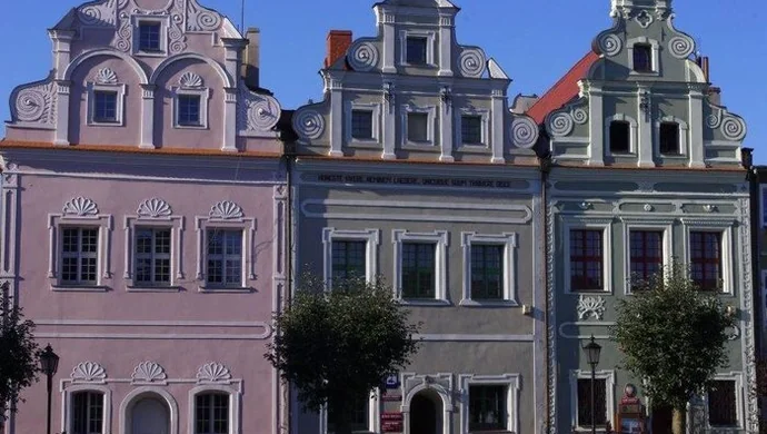 Muzeum Ziemi Wschowskiej poszukuje wolontariuszy