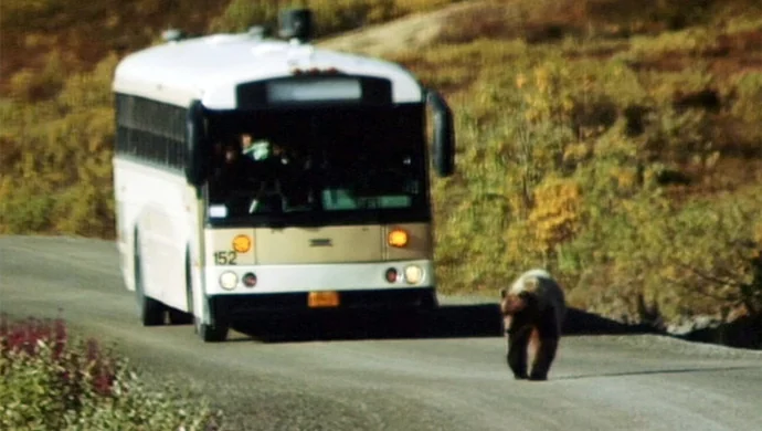 Czterdziesta podróż. Na Alaskę