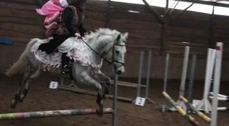 Bal karnawałowy na koniach w Siedlnicy