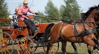 Zaprzęgi w galopie po raz trzeci w Siedlnicy