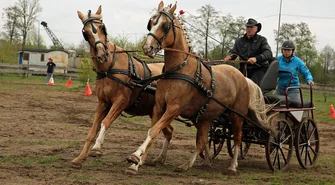 W Siedlnicy po raz trzeci zawody w zaprzęgach