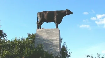 HZZ Osowa Sień mistrzem krajowym