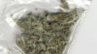 23-latek ze Wschowy zatrzymany za posiadanie marihuany