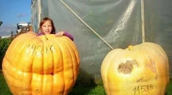 Jesienny Piknik Rodzinny i konkurs na największą dynię