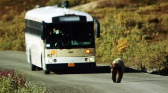 Czterdziesta podróż. Na Alaskę