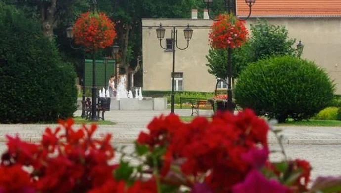 Zagłosuj na ukwieconą Wschowę