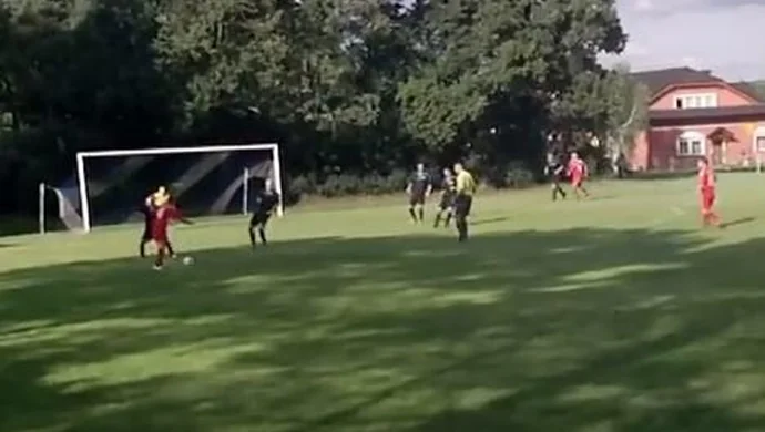 Zwycięstwa Korony i Avii