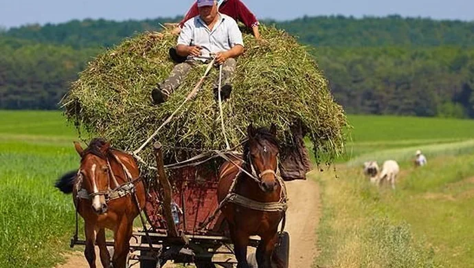 Zakończenie lata we Wschowie