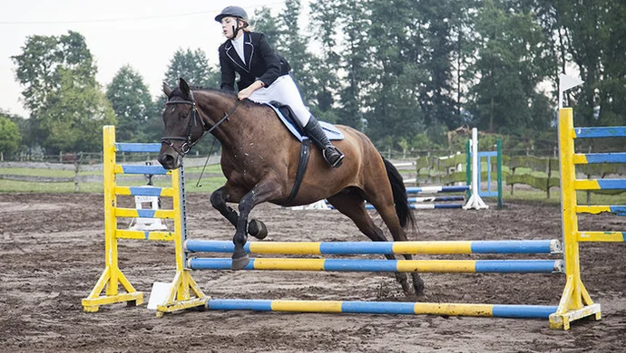REGIONALNO-TOWARZYSKIE zawody w skokach przez przeszkody