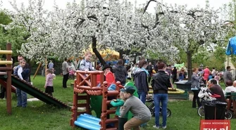 Koncert Haiti Madagaskar już w niedzielę