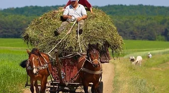 Zakończenie lata we Wschowie
