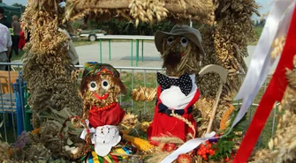 Dożynki Powiatowo-Gminne 2014