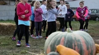 Konkurs na największą dynię