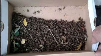 Znana jest substancja, nieznany jest sprawca