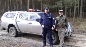 Nielegalna wycinka drzew