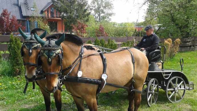 Sukcesy zawodników z SKJ Tradycja